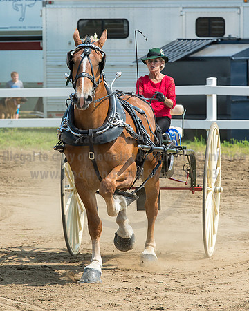 2016_Saratoga_SCL_5215