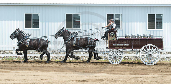 2016_Saratoga_SCL_5081