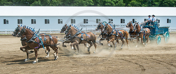 2016_Saratoga_SCL_5018