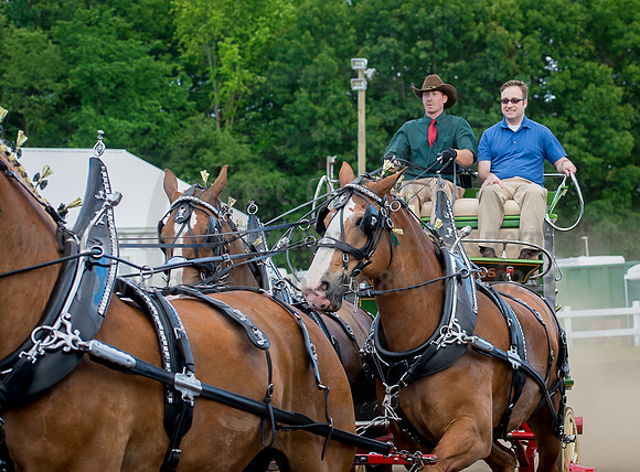 2016_Saratoga_SCL_4842
