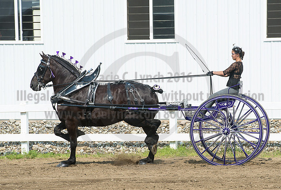 2016_Saratoga_SCL_5248