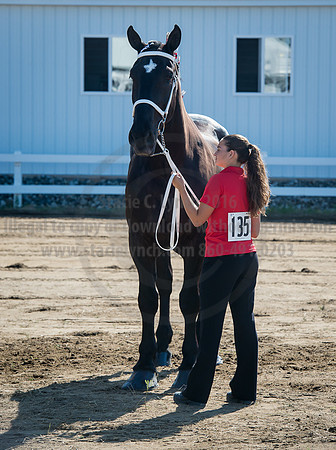 2016_Saratoga_SCL_4935