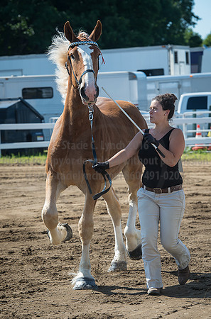 2016_Saratoga_SCL_4952
