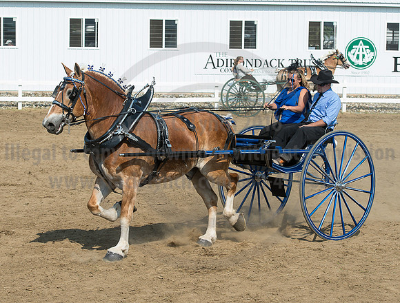2016_Saratoga_SCL_5290