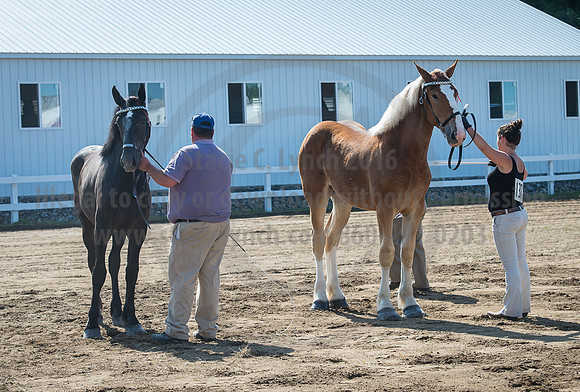 2016_Saratoga_SCL_4955