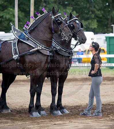 2016_Saratoga_SCL_4803