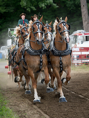 2016_Saratoga_SCL_4796
