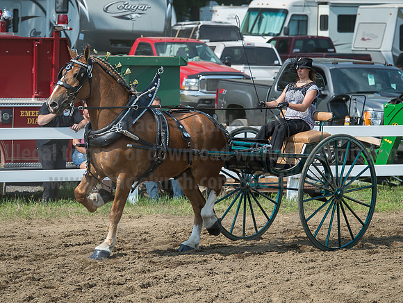 2016_Saratoga_SCL_5254