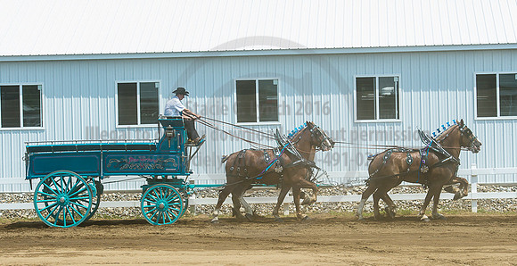 2016_Saratoga_SCL_5123