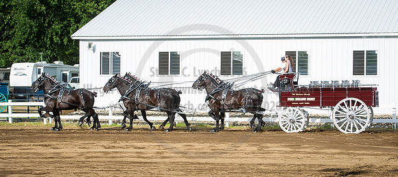 2016_Saratoga_SCL_4764