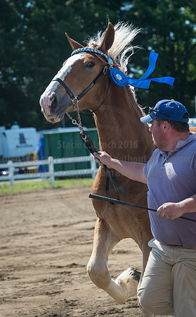 2016_Saratoga_SCL_4975