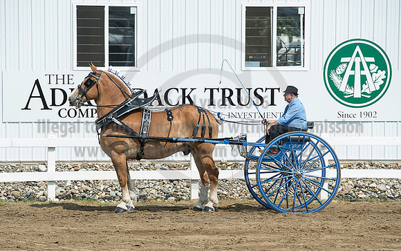 2016_Saratoga_SCL_5220