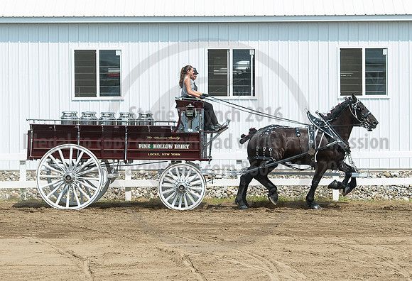 2016_Saratoga_SCL_5182