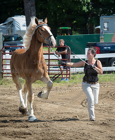 2016_Saratoga_SCL_4946