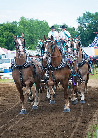 2016_Saratoga_SCL_4738