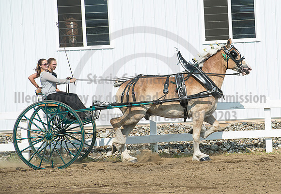 2016_Saratoga_SCL_5296