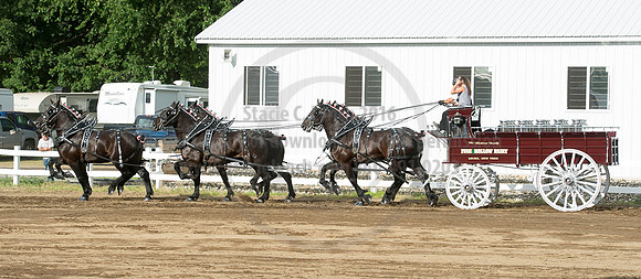 2016_Saratoga_SCL_4758
