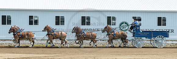 2016_Saratoga_SCL_5011