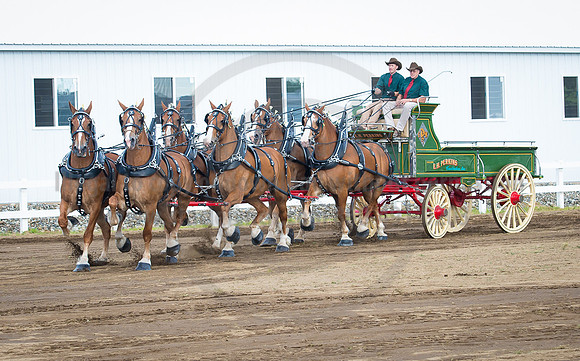 2016_Saratoga_SCL_4726