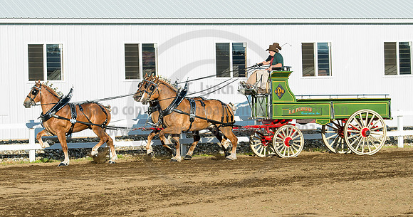 2016_Saratoga_SCL_4891
