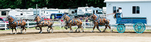 2016_Saratoga_SCL_5009