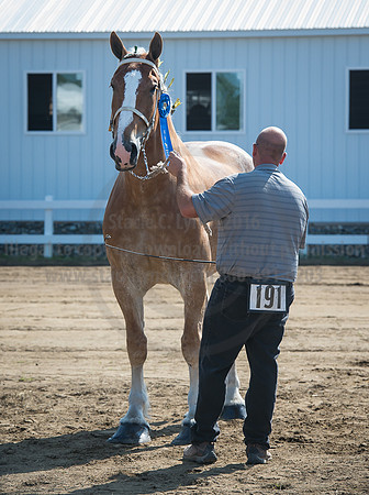 2016_Saratoga_SCL_4977