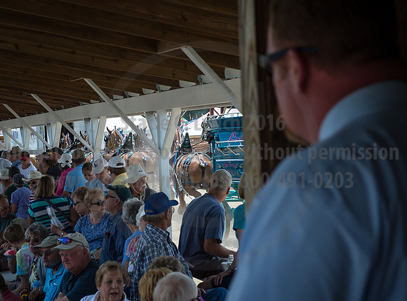 2016_Saratoga_SCL_4988