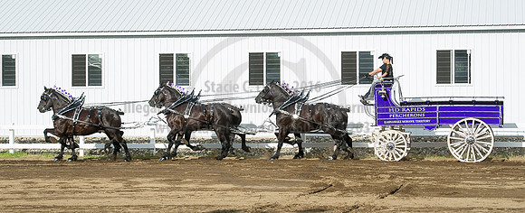 2016_Saratoga_SCL_4761