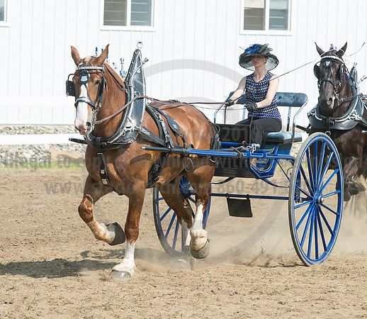 2016_Saratoga_SCL_5260