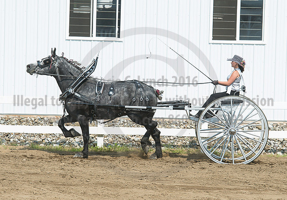 2016_Saratoga_SCL_5255