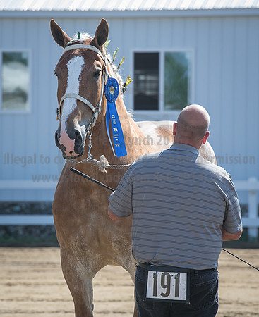 2016_Saratoga_SCL_4978