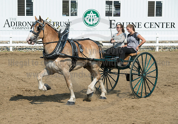 2016_Saratoga_SCL_5287