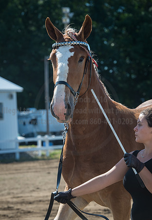 2016_Saratoga_SCL_4953