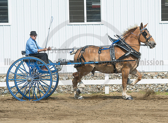 2016_Saratoga_SCL_5238