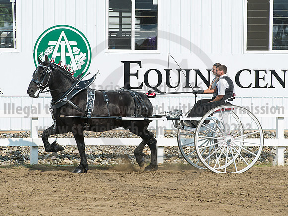 2016_Saratoga_SCL_5285