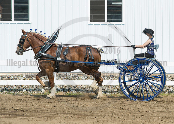 2016_Saratoga_SCL_5245