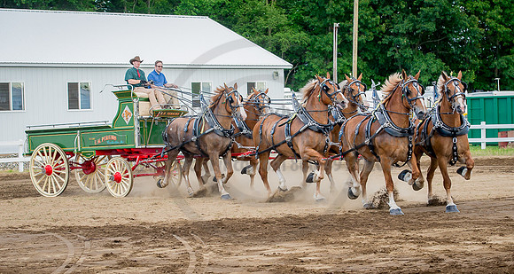 2016_Saratoga_SCL_4838