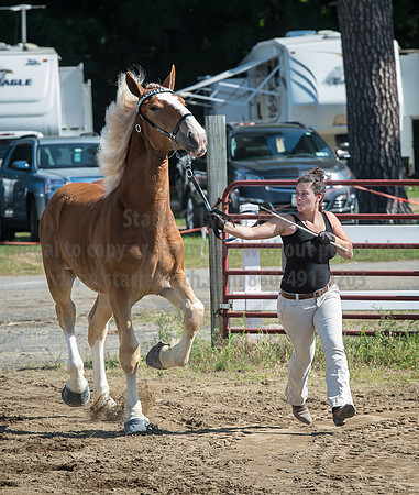 2016_Saratoga_SCL_4945