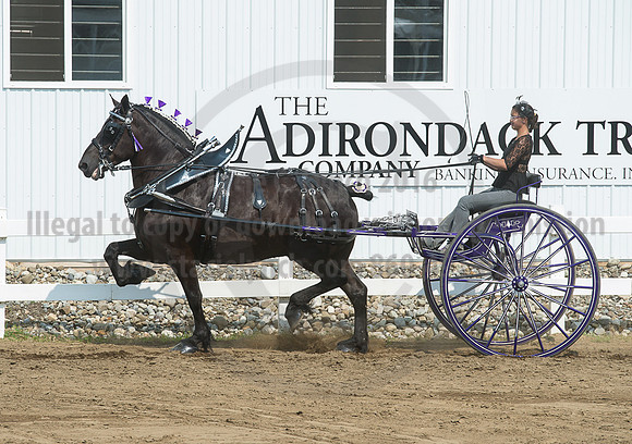 2016_Saratoga_SCL_5256