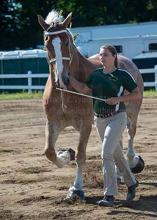 2016_Saratoga_SCL_4910