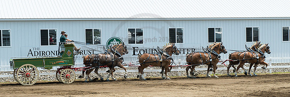 2016_Saratoga_SCL_5046