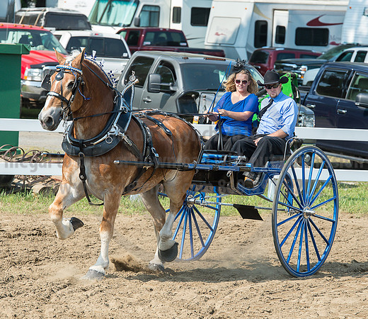 2016_Saratoga_SCL_5276