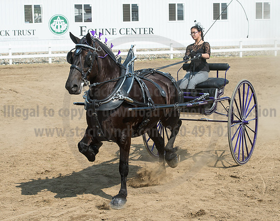 2016_Saratoga_SCL_5262