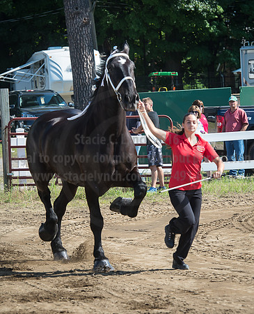 2016_Saratoga_SCL_4924