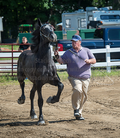 2016_Saratoga_SCL_4947