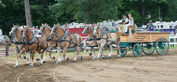 2016_Saratoga_SCL_4719