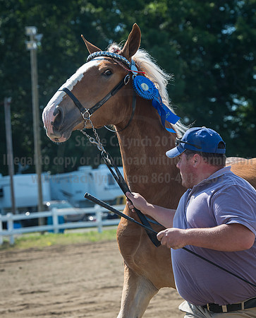 2016_Saratoga_SCL_4976