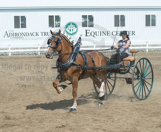 2016_Saratoga_SCL_5263