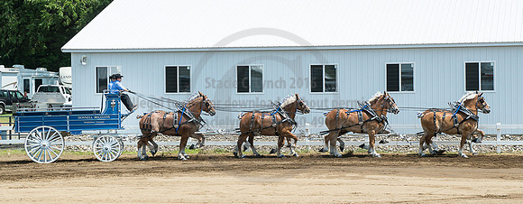 2016_Saratoga_SCL_5030