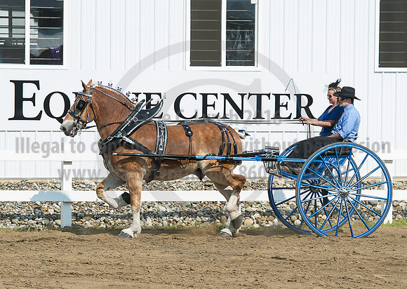 2016_Saratoga_SCL_5283